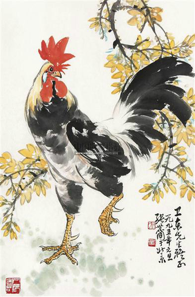 图片